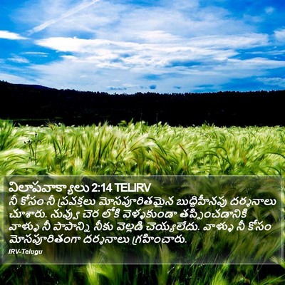 విలాపవాక్యాలు 2:14 TELIRV Bible Verse Image