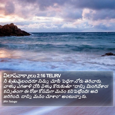 విలాపవాక్యాలు 2:16 TELIRV Bible Verse Image