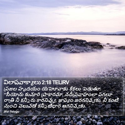 విలాపవాక్యాలు 2:18 TELIRV Bible Verse Image