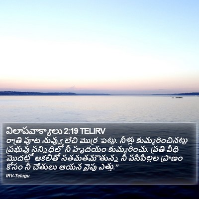 విలాపవాక్యాలు 2:19 TELIRV Bible Verse Image