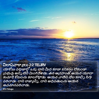 విలాపవాక్యాలు 2:2 TELIRV Bible Verse Image