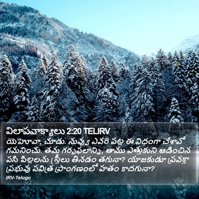 విలాపవాక్యాలు 2:20 TELIRV Bible Verse Image