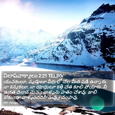 విలాపవాక్యాలు 2:21 TELIRV Bible Verse Image