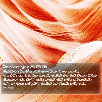 విలాపవాక్యాలు 2:3 TELIRV Bible Verse Image