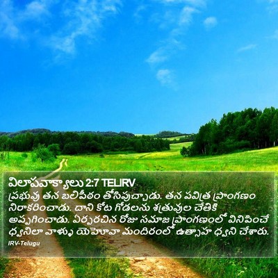 విలాపవాక్యాలు 2:7 TELIRV Bible Verse Image