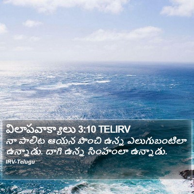 విలాపవాక్యాలు 3:10 TELIRV Bible Verse Image