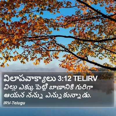 విలాపవాక్యాలు 3:12 TELIRV Bible Verse Image