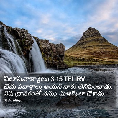 విలాపవాక్యాలు 3:15 TELIRV Bible Verse Image