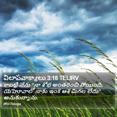 విలాపవాక్యాలు 3:18 TELIRV Bible Verse Image
