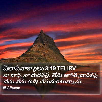 విలాపవాక్యాలు 3:19 TELIRV Bible Verse Image