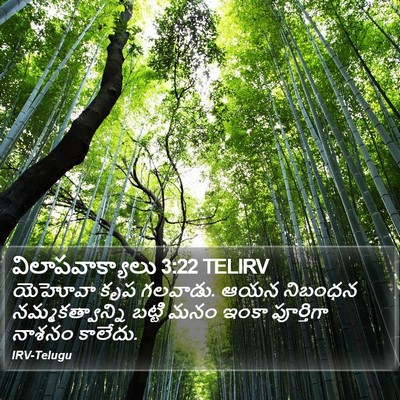 విలాపవాక్యాలు 3:22 TELIRV Bible Verse Image