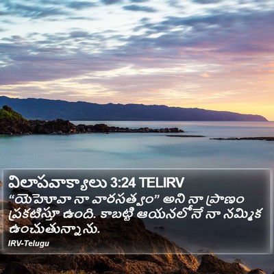 విలాపవాక్యాలు 3:24 TELIRV Bible Verse Image