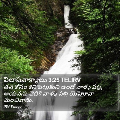 విలాపవాక్యాలు 3:25 TELIRV Bible Verse Image