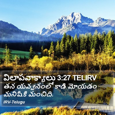 విలాపవాక్యాలు 3:27 TELIRV Bible Verse Image