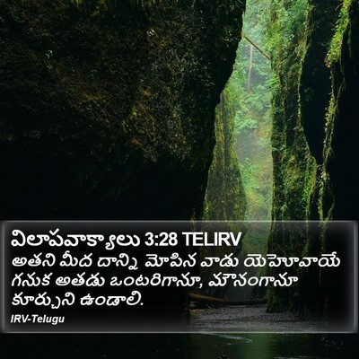 విలాపవాక్యాలు 3:28 TELIRV Bible Verse Image