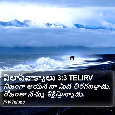 విలాపవాక్యాలు 3:3 TELIRV Bible Verse Image