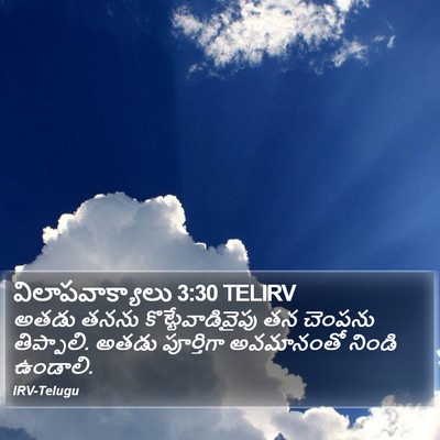 విలాపవాక్యాలు 3:30 TELIRV Bible Verse Image