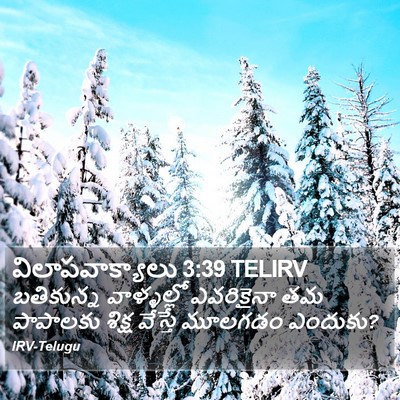 విలాపవాక్యాలు 3:39 TELIRV Bible Verse Image