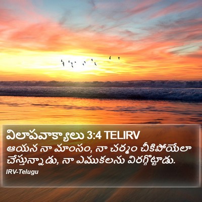 విలాపవాక్యాలు 3:4 TELIRV Bible Verse Image