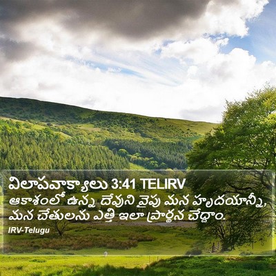 విలాపవాక్యాలు 3:41 TELIRV Bible Verse Image