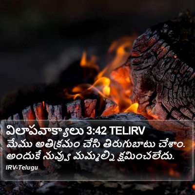 విలాపవాక్యాలు 3:42 TELIRV Bible Verse Image