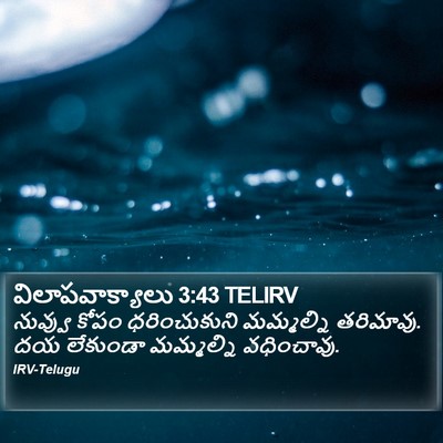 విలాపవాక్యాలు 3:43 TELIRV Bible Verse Image