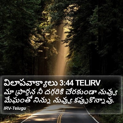 విలాపవాక్యాలు 3:44 TELIRV Bible Verse Image