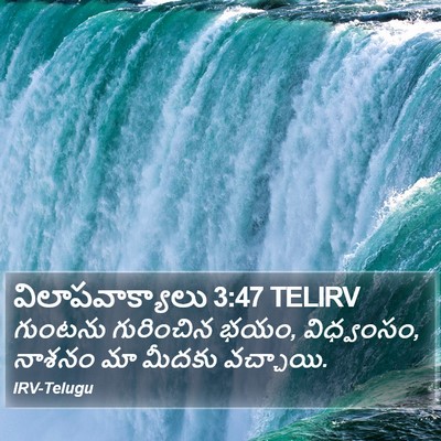 విలాపవాక్యాలు 3:47 TELIRV Bible Verse Image