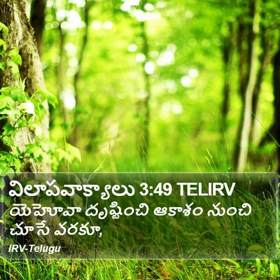 విలాపవాక్యాలు 3:49 TELIRV Bible Verse Image