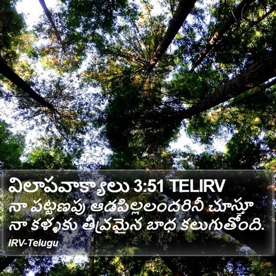 విలాపవాక్యాలు 3:51 TELIRV Bible Verse Image