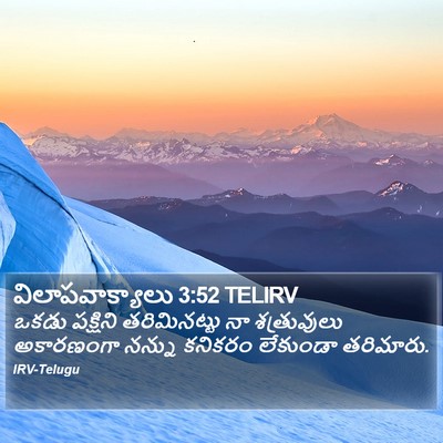 విలాపవాక్యాలు 3:52 TELIRV Bible Verse Image