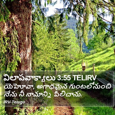 విలాపవాక్యాలు 3:55 TELIRV Bible Verse Image