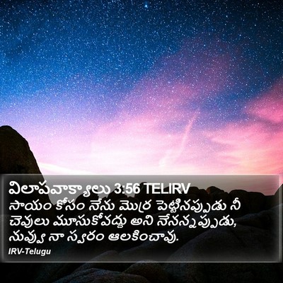 విలాపవాక్యాలు 3:56 TELIRV Bible Verse Image
