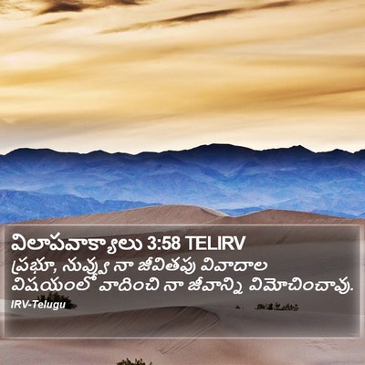 విలాపవాక్యాలు 3:58 TELIRV Bible Verse Image