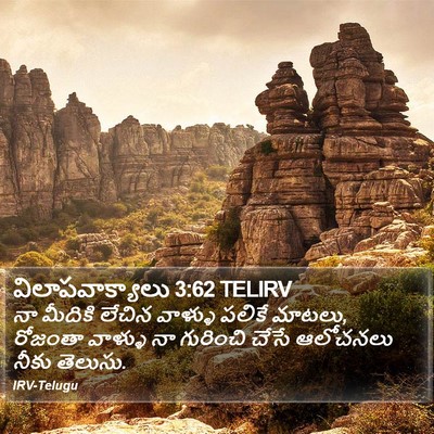 విలాపవాక్యాలు 3:62 TELIRV Bible Verse Image