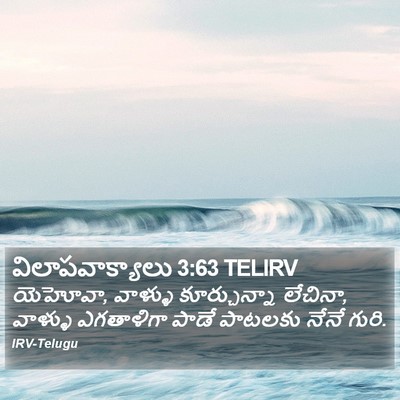 విలాపవాక్యాలు 3:63 TELIRV Bible Verse Image