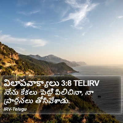 విలాపవాక్యాలు 3:8 TELIRV Bible Verse Image