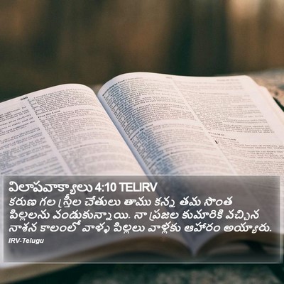 విలాపవాక్యాలు 4:10 TELIRV Bible Verse Image