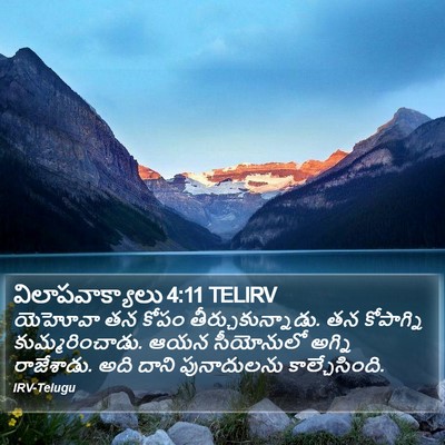 విలాపవాక్యాలు 4:11 TELIRV Bible Verse Image