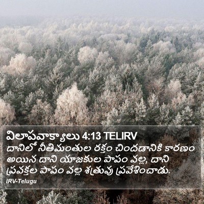 విలాపవాక్యాలు 4:13 TELIRV Bible Verse Image