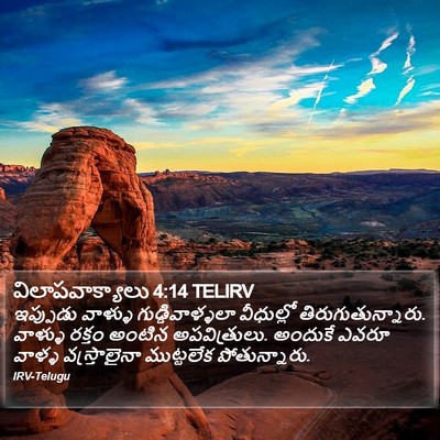 విలాపవాక్యాలు 4:14 TELIRV Bible Verse Image