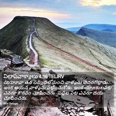 విలాపవాక్యాలు 4:16 TELIRV Bible Verse Image