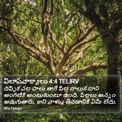 విలాపవాక్యాలు 4:4 TELIRV Bible Verse Image