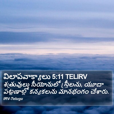 విలాపవాక్యాలు 5:11 TELIRV Bible Verse Image