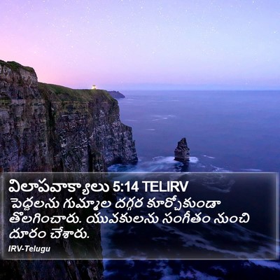 విలాపవాక్యాలు 5:14 TELIRV Bible Verse Image