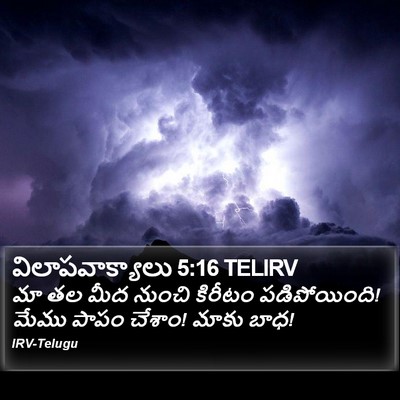 విలాపవాక్యాలు 5:16 TELIRV Bible Verse Image