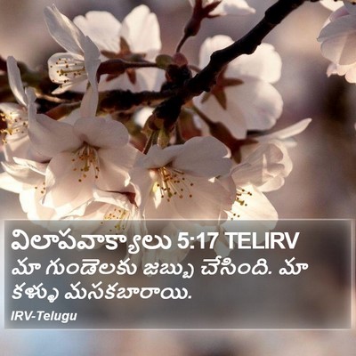 విలాపవాక్యాలు 5:17 TELIRV Bible Verse Image