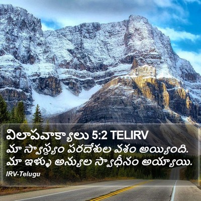 విలాపవాక్యాలు 5:2 TELIRV Bible Verse Image