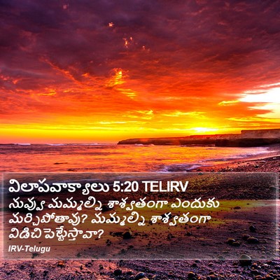 విలాపవాక్యాలు 5:20 TELIRV Bible Verse Image