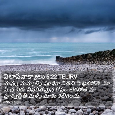 విలాపవాక్యాలు 5:22 TELIRV Bible Verse Image